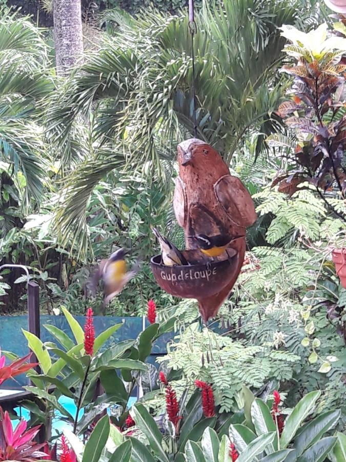 Les Jardins De L'Esperance Βίλα Bouillante Εξωτερικό φωτογραφία